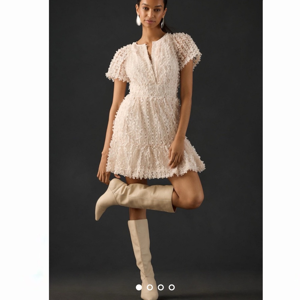 Anthropologie Somerset Mini Floral Applique dress